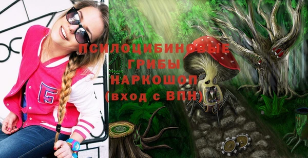 шишки Балабаново