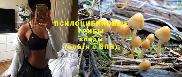 молекула духа Балахна
