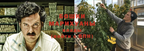шишки Балабаново