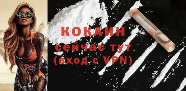 стафф Снежногорск