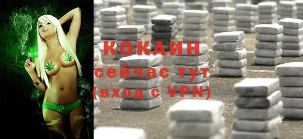 молекула духа Балахна