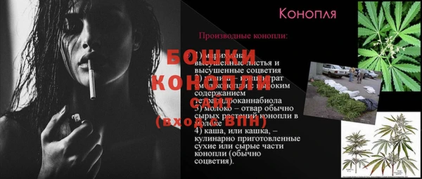 шишки Балабаново