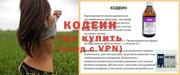молекула духа Балахна