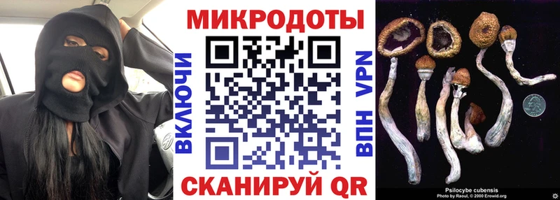 Галлюциногенные грибы мицелий  blacksprut маркетплейс  Гаврилов-Ям 